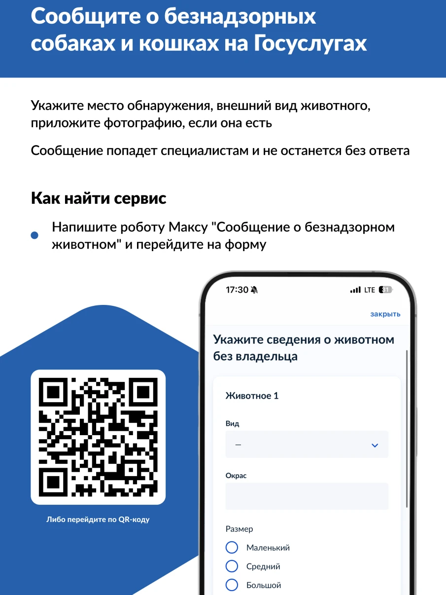Увидели бездомное животное? Теперь о нем можно сообщить на Госуслугах за 2 минуты