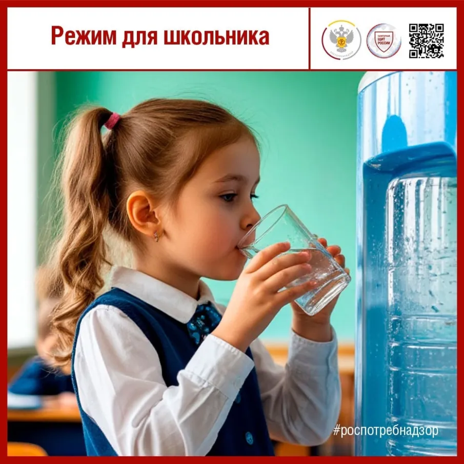 О правильной организации питьевого режима школьника