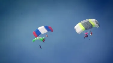 О сбережении лесных ресурсов России