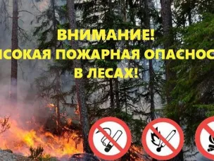 Внимание: в Нижегородской области и Городецком округе установлен четвертый класс пожароопасности лесов