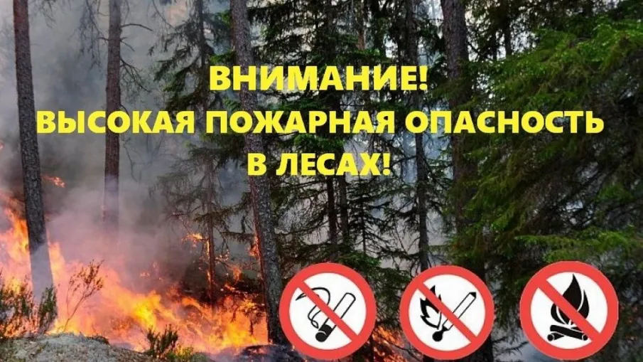 Внимание: в Нижегородской области и Городецком округе установлен четвертый класс пожароопасности лесов