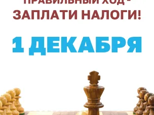 1 декабря истекает срок уплаты имущественных налогов