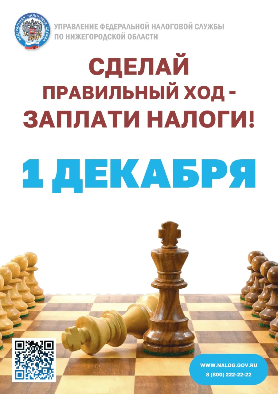 1 декабря истекает срок уплаты имущественных налогов