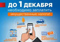 Срок оплаты налогов - до 1 декабря 2022 года
