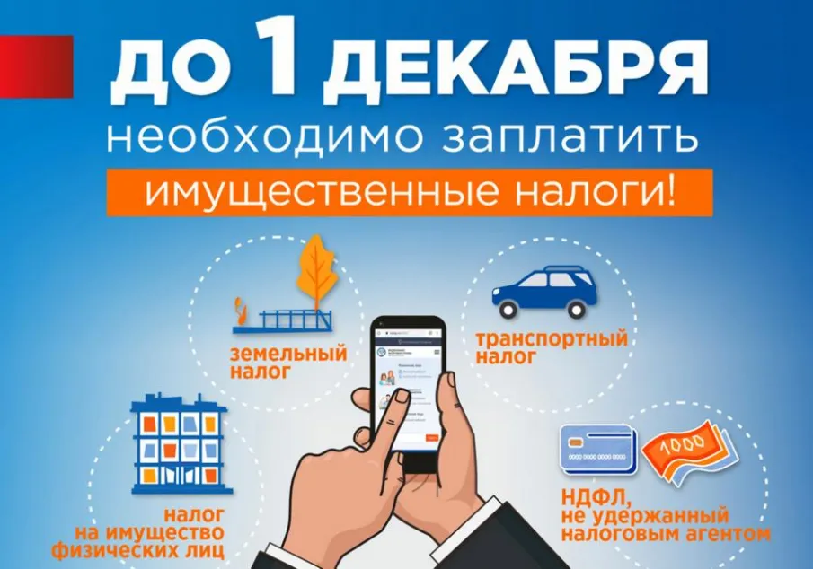 Срок оплаты налогов - до 1 декабря 2022 года