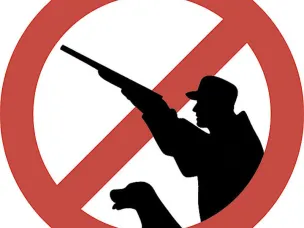 В Нижегородской области введен запрет на охоту!