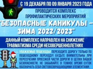 На территории Городецкого округа стартовала профилактическая акция Госавтоинспекции "Зимние каникулы"