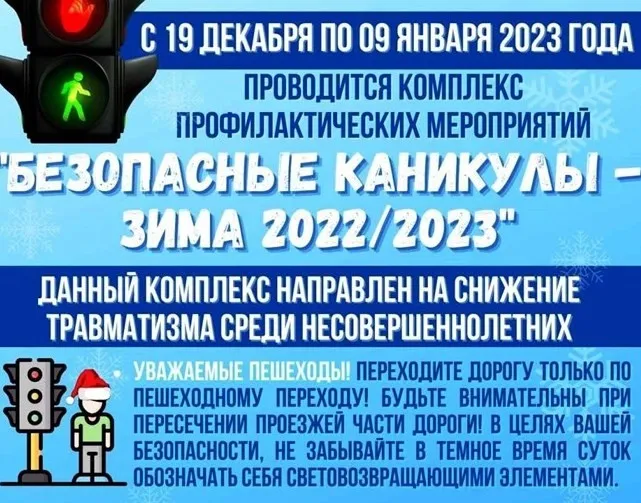 На территории Городецкого округа стартовала профилактическая акция Госавтоинспекции "Зимние каникулы"