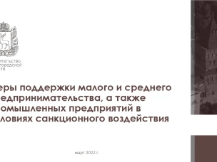 Меры поддержки в условиях санкционного воздействия