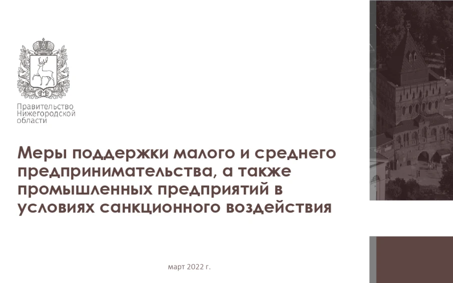 Меры поддержки в условиях санкционного воздействия