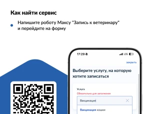 Как записать питомца к ветеринару на Госуслугах