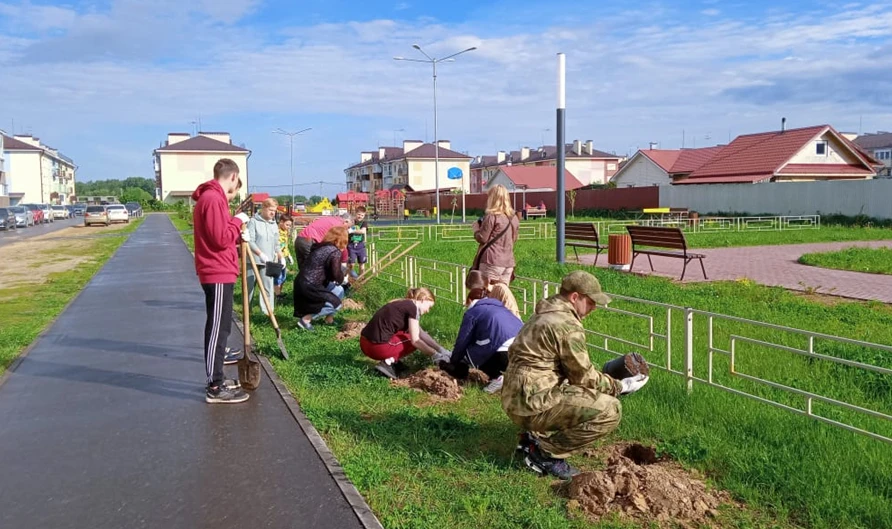 Акция «Сад Памяти»  в г.Городце