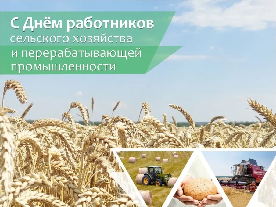 8 октября - День работника сельского хозяйства и перерабатывающей промышленности