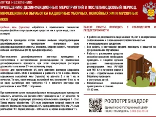 Меры по улучшению санитарно-эпидемиологической обстановки на территории Городецкого муниципального округа по организации дезинфекционных мероприяти