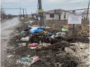 Требования по складированию (выбросу) мусора, отходов спила деревьев, листвы, ботвы