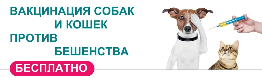 В Городце пройдёт бесплатная вакцинация против бешенства животных