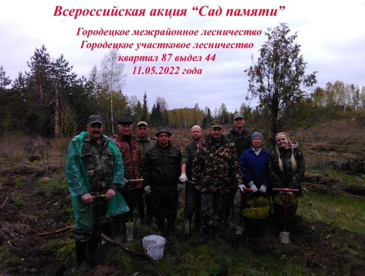 Всероссийская акция «Сад памяти»,  посвященная 77-й годовщине Победы  в Великой Отечественной войне