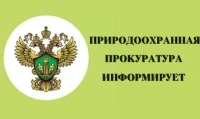 Нижегородская природоохранная прокуратура проведёт прием с жителями и представителями предпринимательского сообщества Городецкого округа!