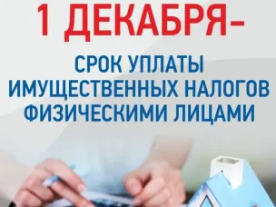 1 декабря 2022 года - срок уплаты имущественных налогов за 2021 год