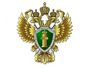 Житель Городецкого района на 8 лет отправится в колонию строгого режима за причинение смерти своей знакомой.